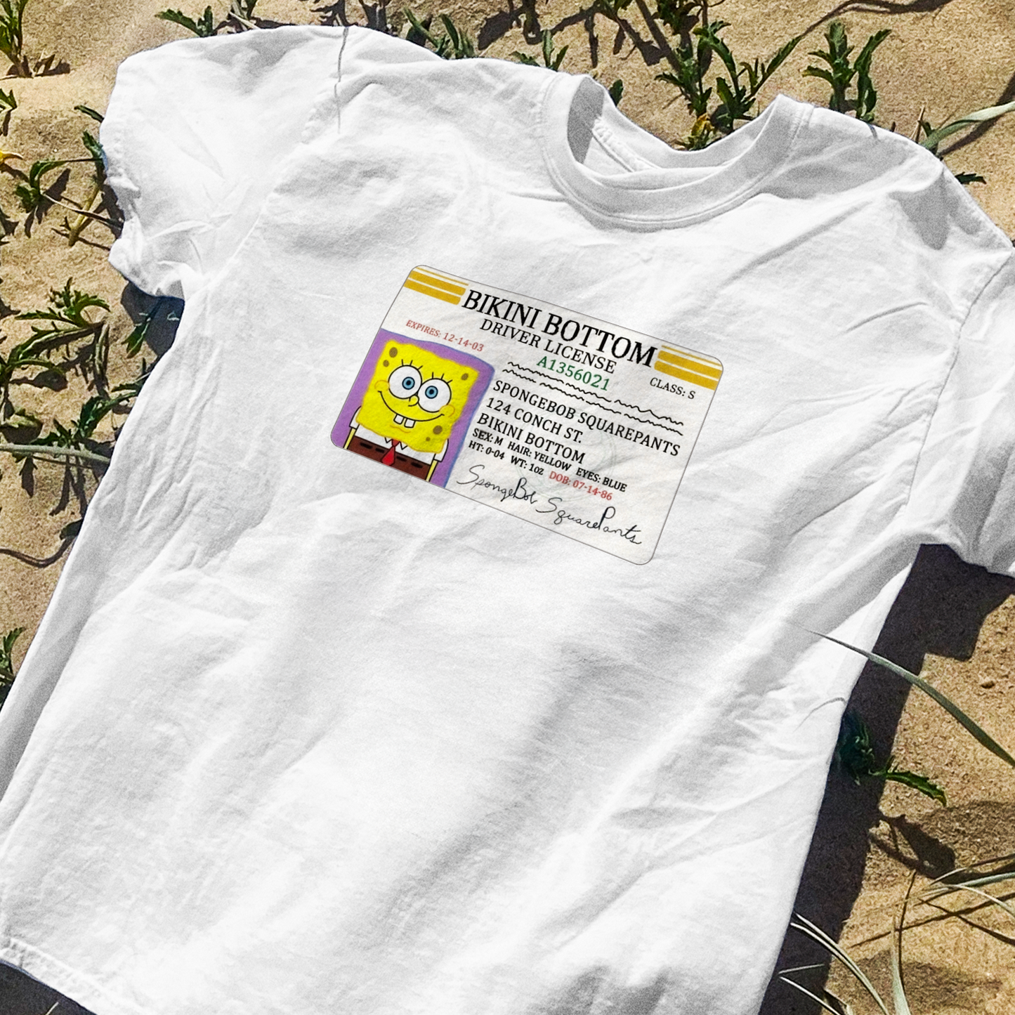 SPONGE 'BOATING LICENSE' VINTAGE WASHED WHITE TEE